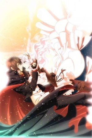 Code: Realize ~Guardian of Rebirth~